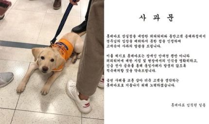  롯데마트 잠실점 퍼피워커 안내견 거부 논란 소리친 매니저 사과 소비자들 불매 운동 피력 장애인복지법 영상