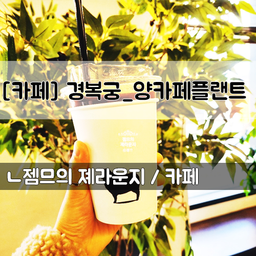  <서울 경복궁역 카페> [경복궁역 / 양카페플랜트 ] 서촌 데이트하기 좋은 사직공원 카페