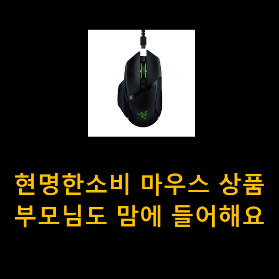 현명한소비 마우스 상품 부모님도 맘에 들어해요 현명한소비 마우스 상품 부모님도 맘에 들어해요