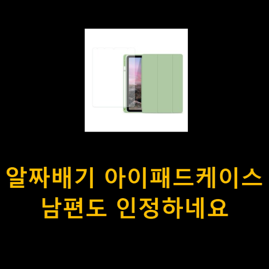 알짜배기 아이패드케이스 남편도 인정하네요 알짜배기 아이패드케이스 남편도 인정하네요