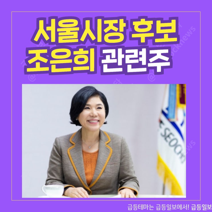 서울시장후보 조은희 관련주 by급등일보