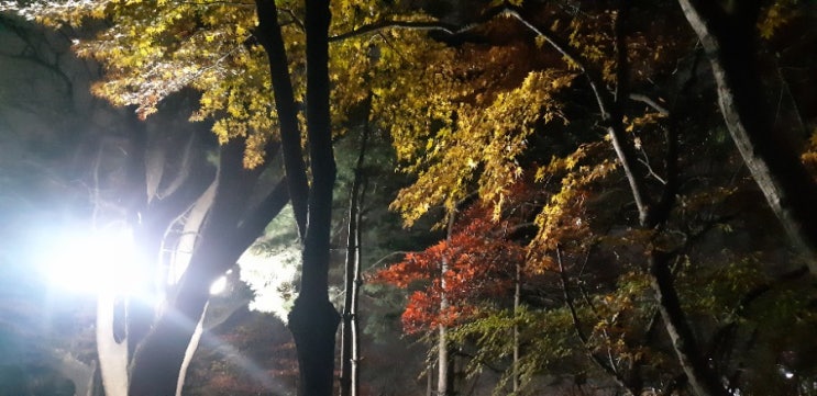 또 다시 겨울이 오다 -남 민옥 또 다시 겨울이 오다 -남 민옥