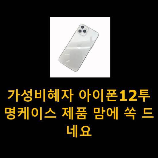 가성비혜자 아이폰12투명케이스 제품 맘에 쏙 드네요 가성비혜자 아이폰12투명케이스 제품 맘에 쏙 드네요