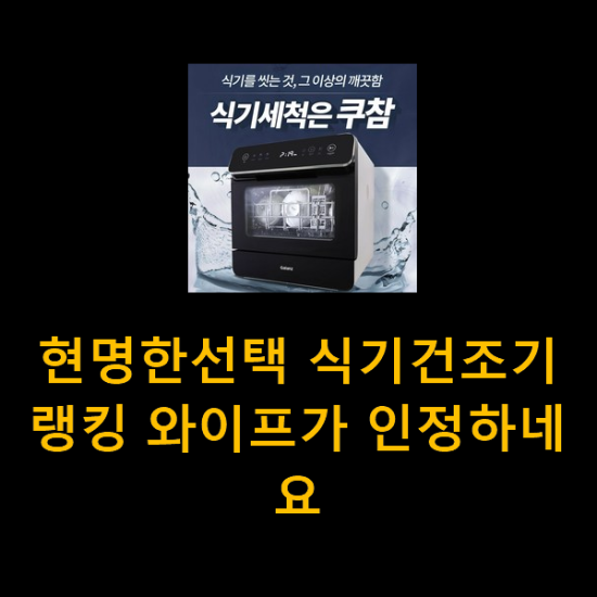 현명한선택 식기건조기 랭킹 와이프가 인정하네요