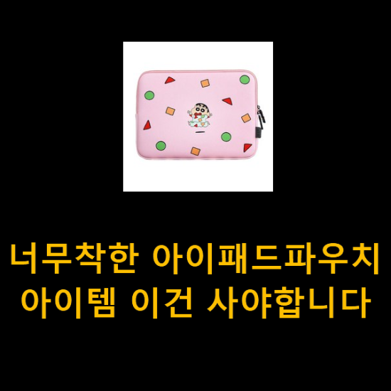 너무착한 아이패드파우치 아이템 이건 사야합니다 너무착한 아이패드파우치 아이템 이건 사야합니다