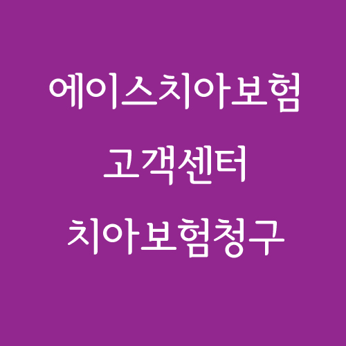  에이스치아보험/처브치아보험/에이스보험고객센터/에이스치아보험청구/에이스치아보험사이트