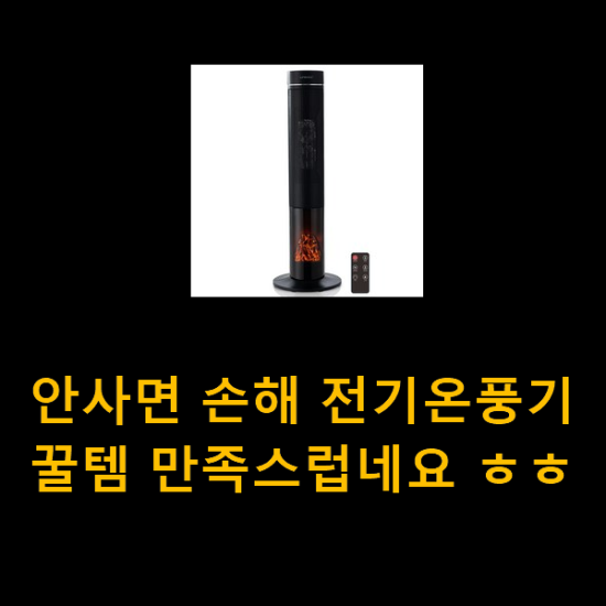 안사면 손해 전기온풍기 꿀템 만족스럽네요 ㅎㅎ