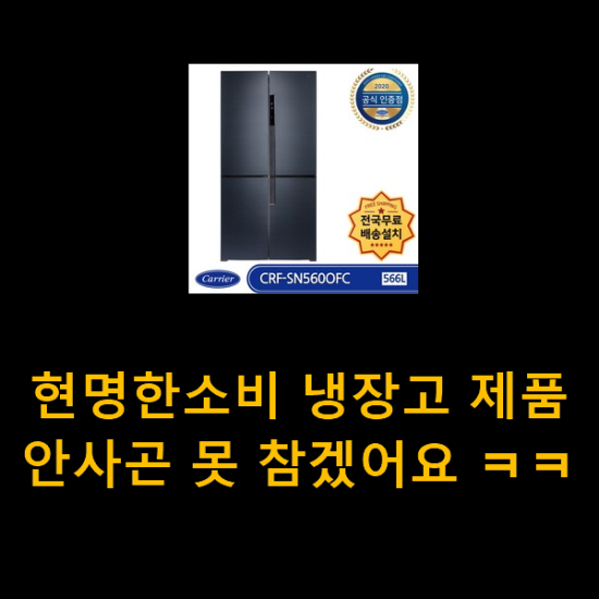 현명한소비 냉장고 제품 안사곤 못 참겠어요 ㅋㅋ 현명한소비 냉장고 제품 안사곤 못 참겠어요 ㅋㅋ