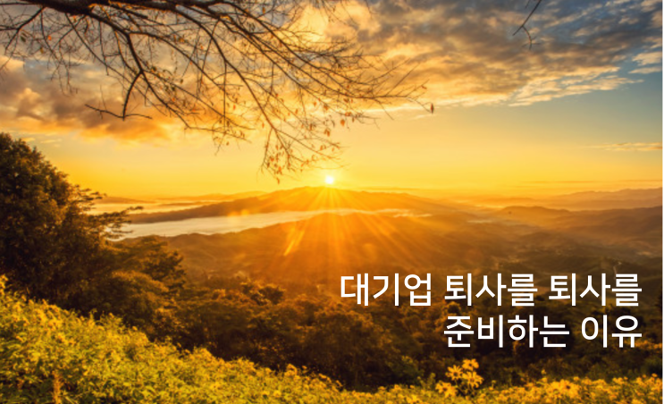  돈 벌기 위해 대기업 퇴사 하기