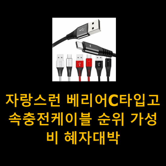자랑스런 베리어C타입고속충전케이블 순위 가성비 혜자대박 자랑스런 베리어C타입고속충전케이블 순위 가성비 혜자대박