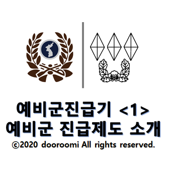  [예비군진급기 - 1] '예비군 진급 제도' 소개