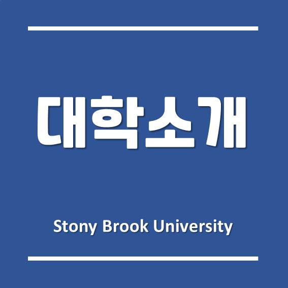 미국 최대 주립대학교 시스템, 한국뉴욕주립대학교 (SUNY Korea)