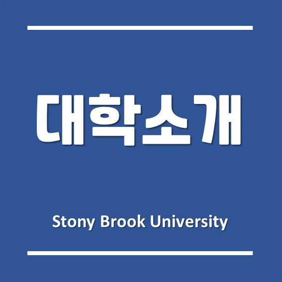  미국 최대 주립대학교 시스템, 한국뉴욕주립대학교 (SUNY Korea)