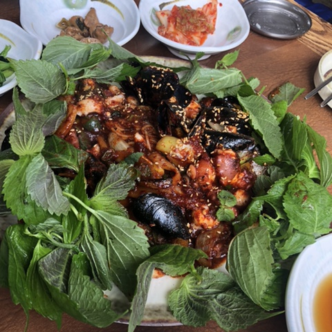 [제주도 동쪽] 2일차