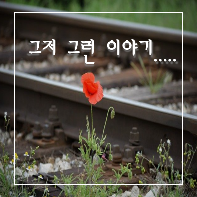  그저 그런 이야기....
