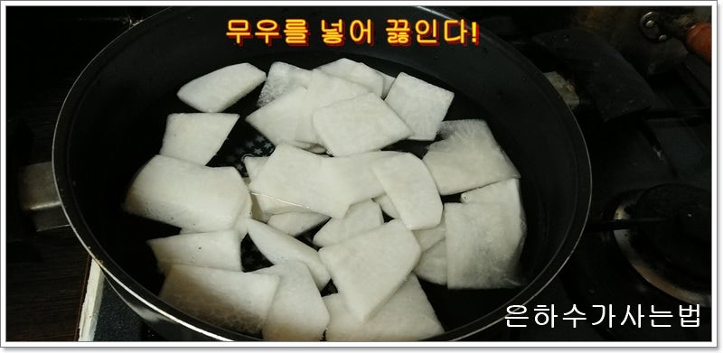 신동해수산 사진 2
