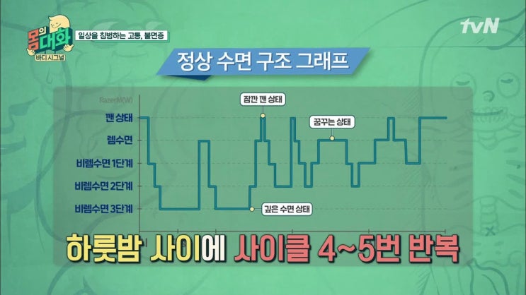 직장인의 적정 수면시간은? 렘수면과 비렘수면 총정리!!(얕은 수면과 깊은 수면)