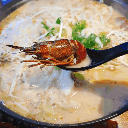  [구미술집] 송정동술집  안주가 맛있는집 꿀밤포차
