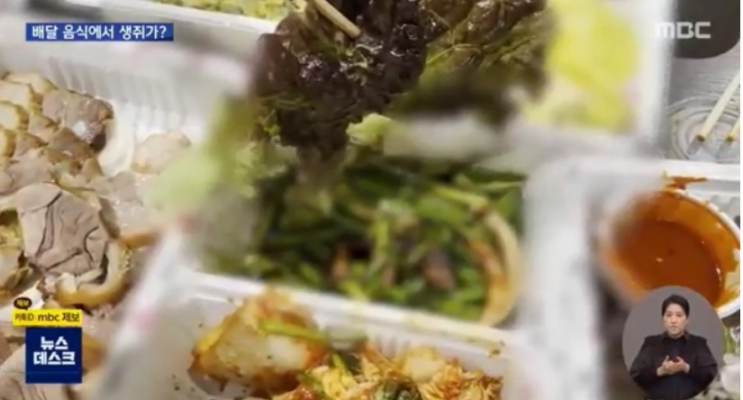  족발에서 왜? 쥐가나와~ ; 쥐 나온 프랜차이즈 어디야~?