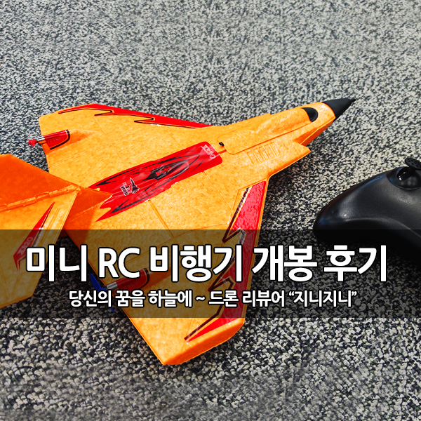 3만원대 입문용 미니 RC 비행기(Mini X320) 개봉기 3만원대 입문용 미니 RC 비행기(Mini X320) 개봉기