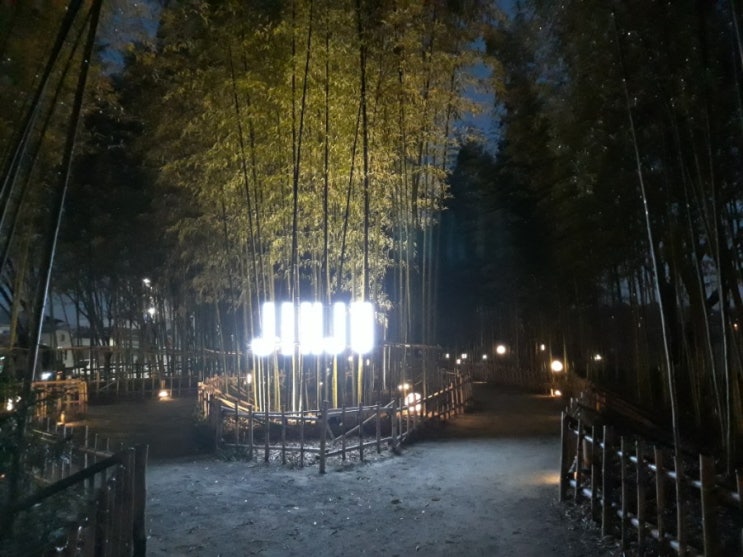  진주 죽림숲 남가람 별빛길