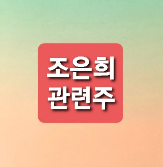 조은희 관련주 총정리 조은희 관련주 총정리