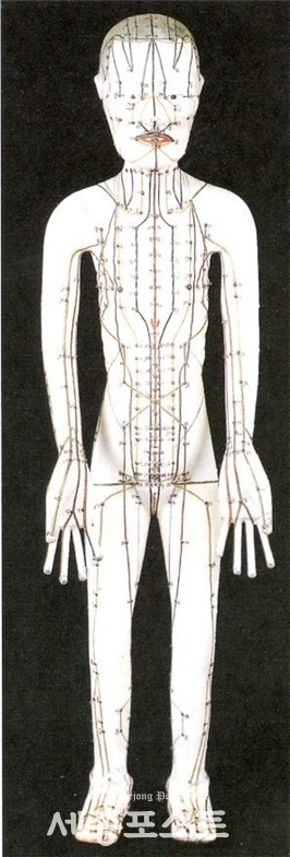  몸안의 몸(미세신).호흡수행과 건강.