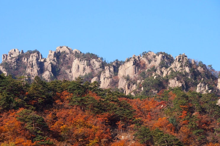  [양양여행] 주전골,설악산 최고의 단풍을 품은 계곡