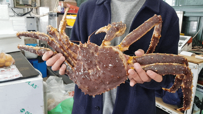  울산정자대게 맛집 팔각정 회센터에서 대게와 활어회 즐기기!