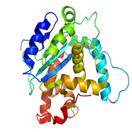 구글 딥마인드 알파폴드 2 (AlphaFold 인공지능 신경망 / 단백질 접힘 / 3차원 구조 / 유전자 DNA 데이터 / 아미노산 / 세포 / 신약 개발 / CASP / TPU)