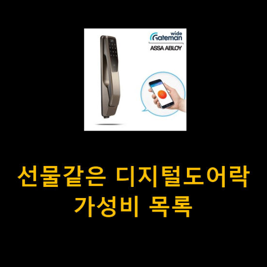 선물같은 디지털도어락 가성비 목록 선물같은 디지털도어락 가성비 목록