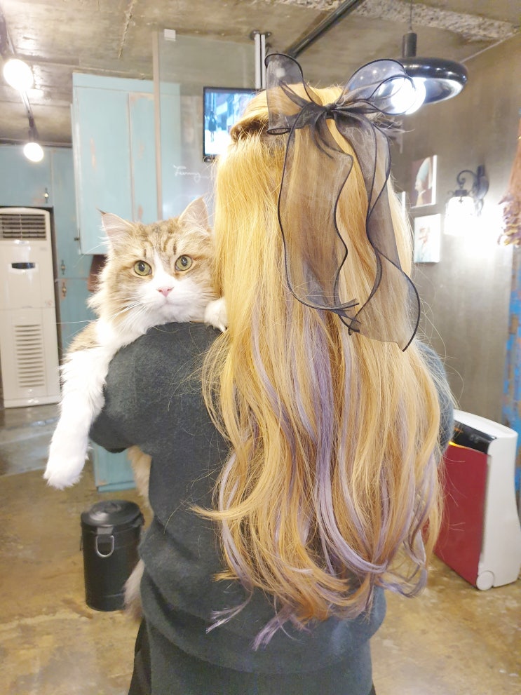  솜브레 발레아쥬 붙임머리 애쉬블루로 해봐요
