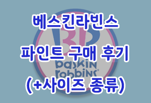 베스킨라빈스 파인트 구매 후기 (+사이즈 종류)