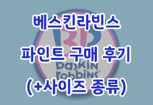  베스킨라빈스 파인트 구매 후기 (+사이즈 종류)