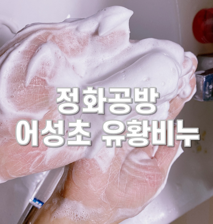  정화공방 어성초 유황비누 두피관리에 탁월