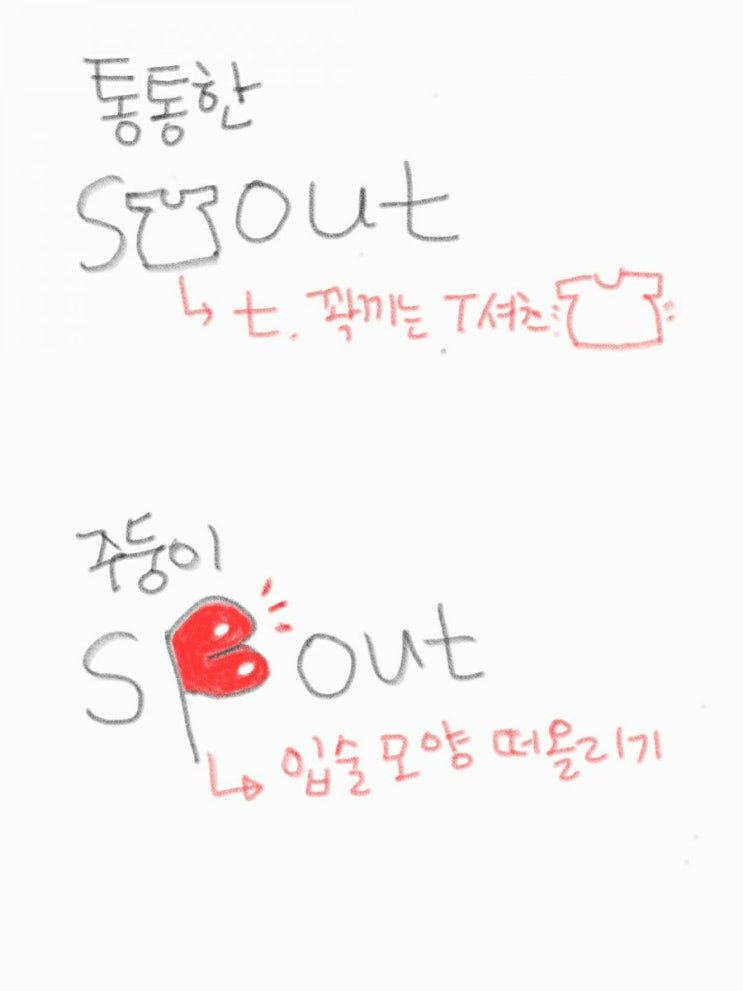 [헷갈리는 단어] stout VS spout 그림으로 외우기