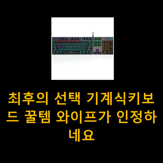 최후의 선택 기계식키보드 꿀템 와이프가 인정하네요 최후의 선택 기계식키보드 꿀템 와이프가 인정하네요