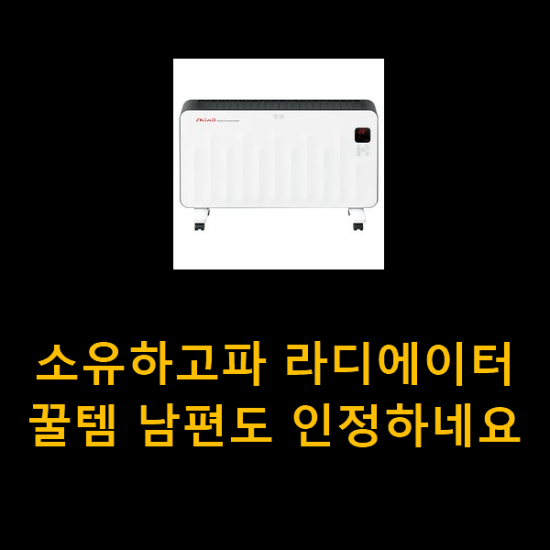 소유하고파 라디에이터 꿀템 남편도 인정하네요 소유하고파 라디에이터 꿀템 남편도 인정하네요