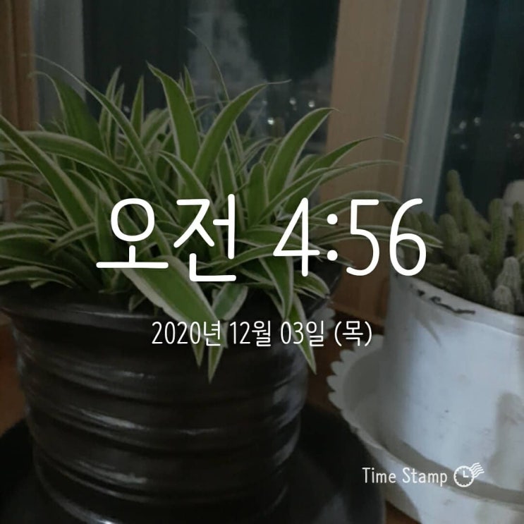  새벽 기상 12-3