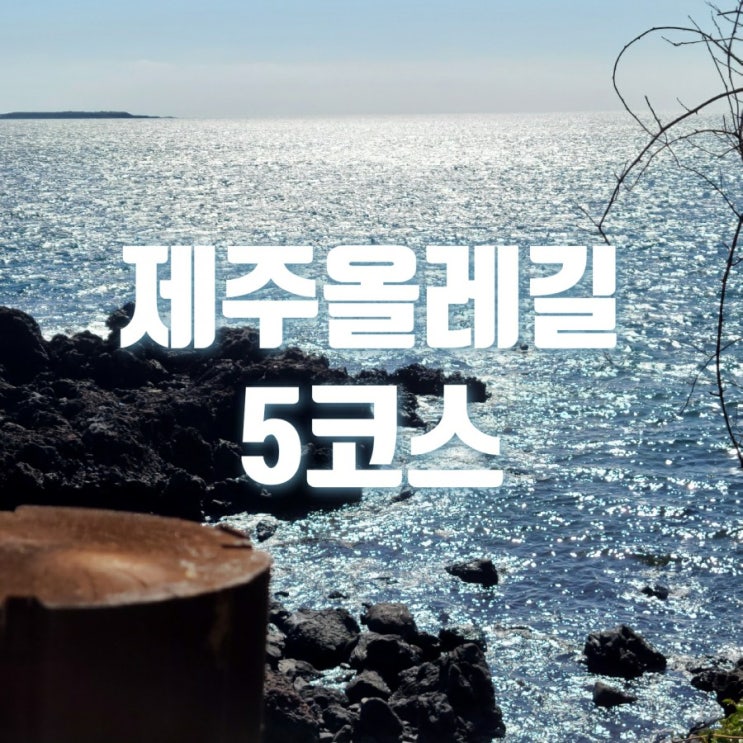  쌓인 스트레스 날려버리고 싶을 때 제주올레길 5코스