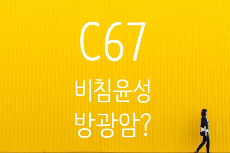  C67 방광암 의료자문 D09 비침윤성방광암 문제 제기