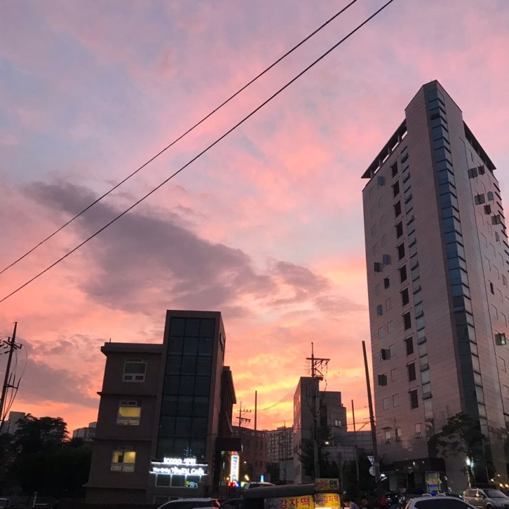 오늘 하루는 어떻게 보내셨어요?