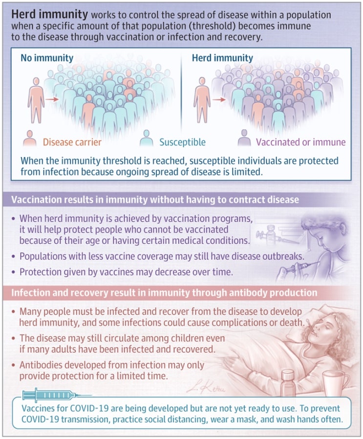  집단면역 (Herd immunity)