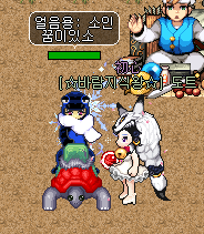 바람의나라 탈것 날쌘거북이소환 분석