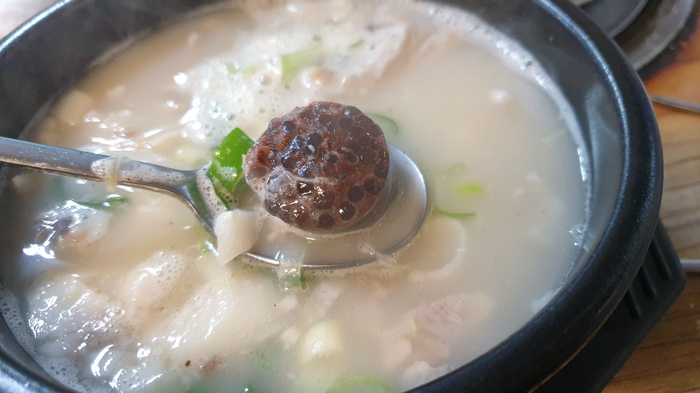  청주 터미널 맛집 가경동 청주순대 후기
