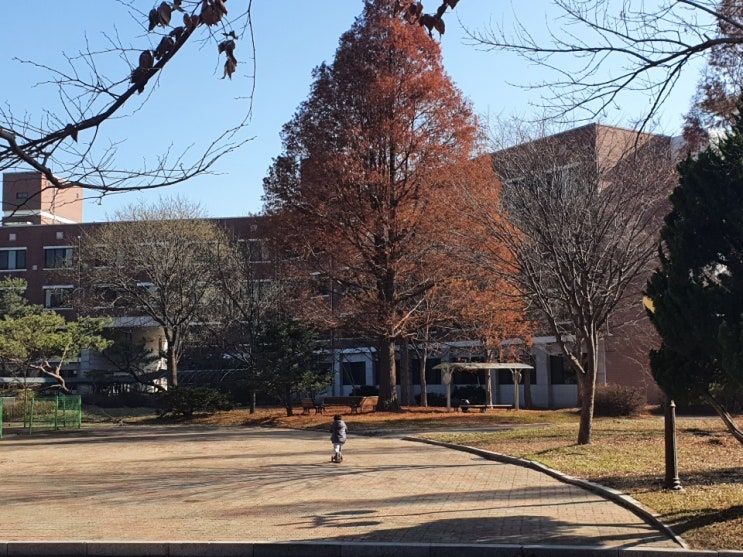  [놀곳] 봉담 문화공원 예정지 구. 농수산대학에 다녀왔어요