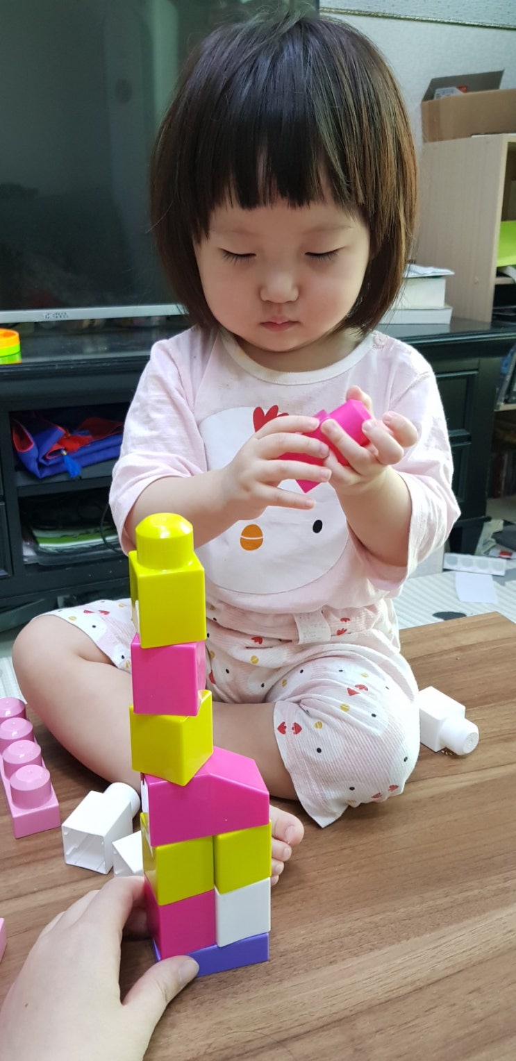  뽐비네[유아블럭]메가블럭