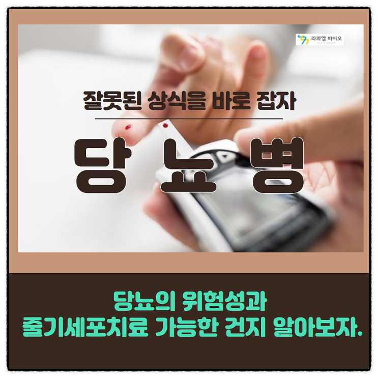  당뇨의 위험성과 줄기세포치료로 가능성 확인.