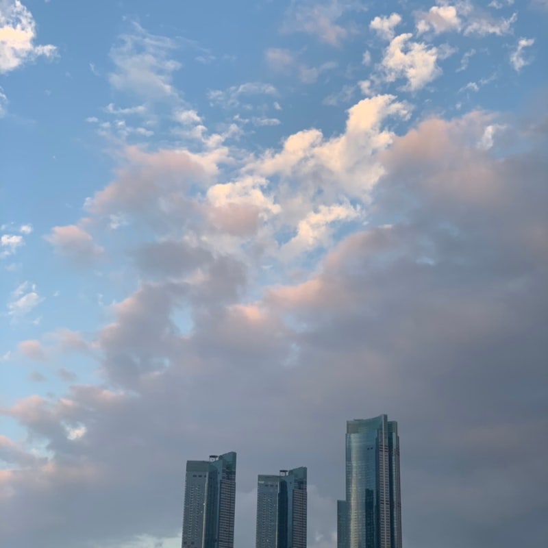 코드쿤스트 | 코드쿤스트 노래 꽃