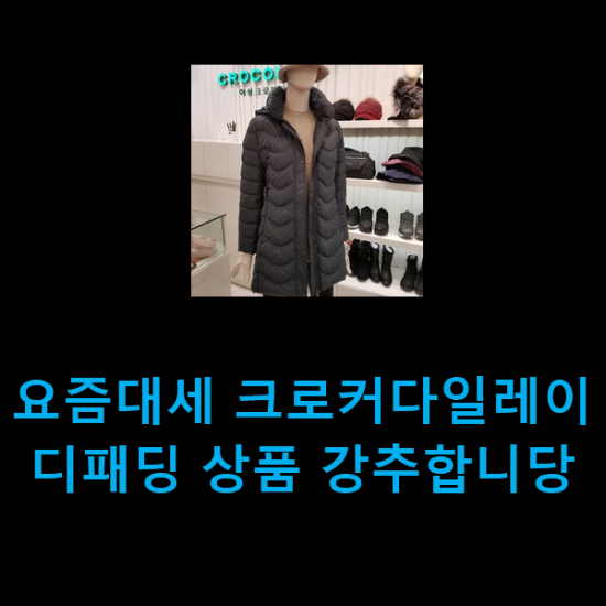 요즘대세 크로커다일레이디패딩 상품 강추합니당